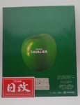 Toyota Cavalier 1996 Nihobby 日改